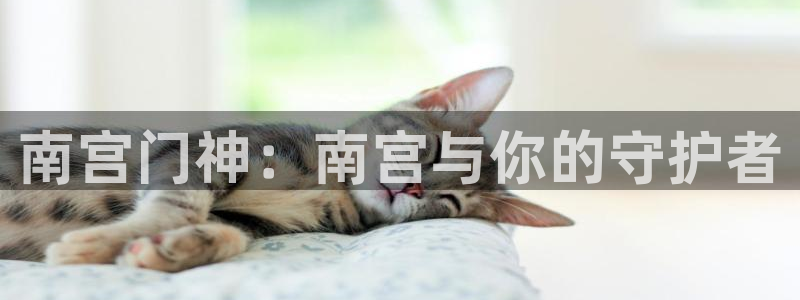 壹号娱乐强制退款流程详解