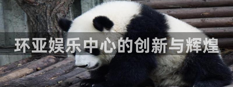 壹号电子娱乐app下载