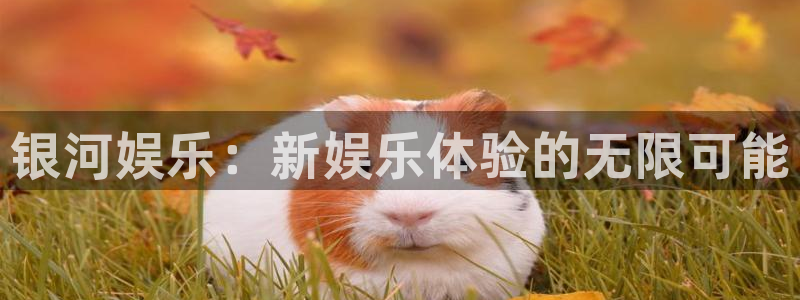 壹号娱乐官网