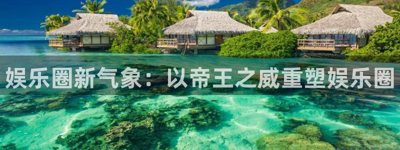 壹号娱乐app入口
