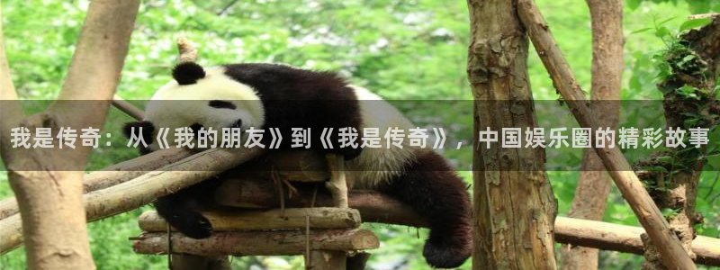 壹号娱乐平台app下载安装