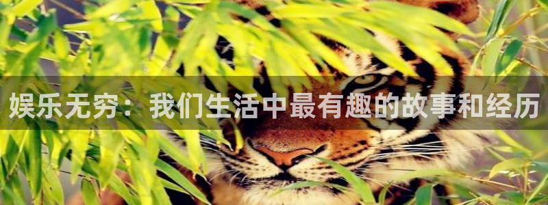 壹号娱乐app下载安装
