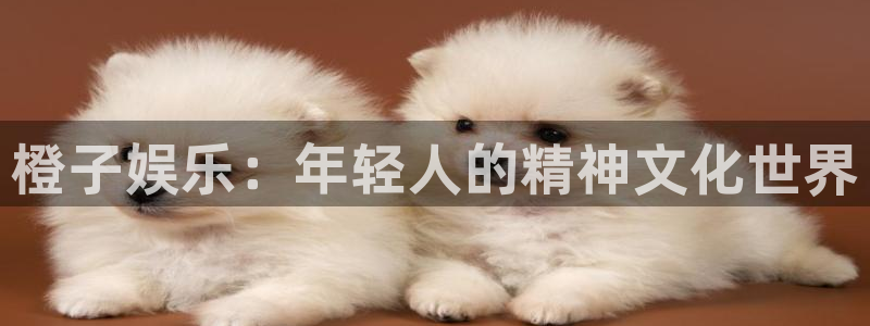 壹号app官网版下载