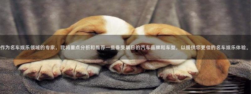 壹号app下载官网娱乐