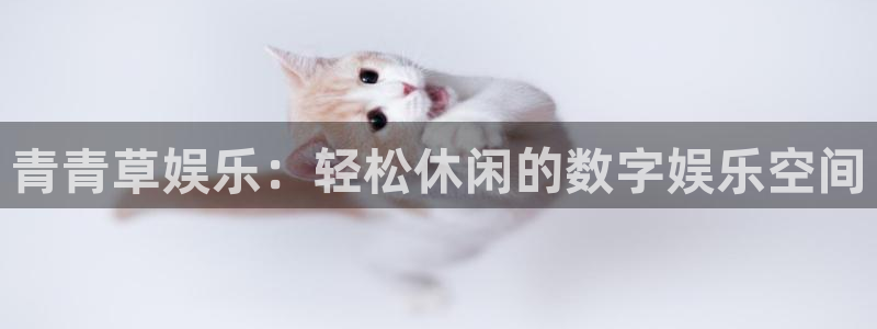 壹号娱乐app下载