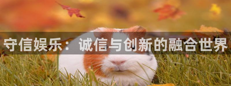 壹号娱乐app下载安装：守信娱乐：诚信与创新的融合世界