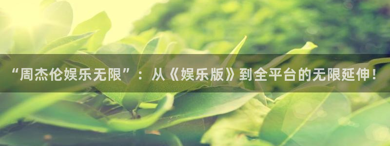 壹号大舞台网站：“周杰伦娱乐无限”：从《娱乐版》到全平台的无限延伸！