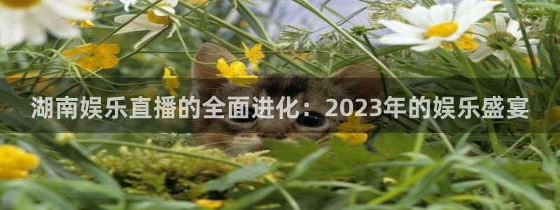 壹号app下载官网娱乐：湖南娱乐直播的全面进化：2023年的娱乐盛宴