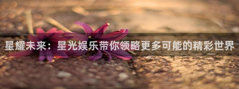 壹号大舞台官网入口：星耀未来：星光娱乐带你领略更多可能的精彩世界