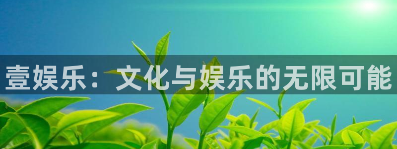 壹号大舞台入口：壹娱乐：文化与娱乐的无限可能