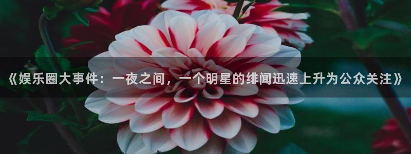 壹号娱乐app官网下载：《娱乐圈大事件：一夜之间，一个明星的绯闻迅速上升为公众关注》